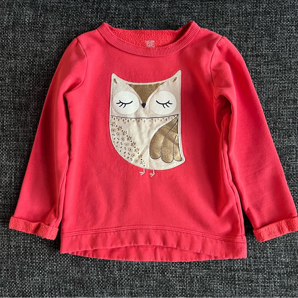 Carter’s Owl Sweater Size 5T